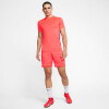 Nike Dri-FIT Academy férfi rövidnadrág