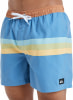 Quiksilver Everyday Straight Badeshorts