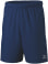 Team Shorts