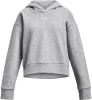 Under Armour Rival Fleece-Croptop Hoodie