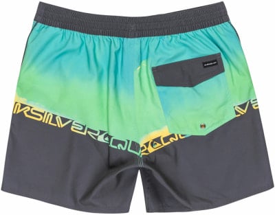 Quiksilver Everyday Jam Badeshorts