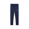 teamLIGA26 Training Trainingshose 100%PES, dryCELL