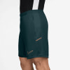 Herren-Fußballshorts von Nike in Dunkelgrün mit Logo.