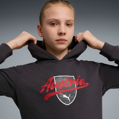 Puma ÖFB 2026 Culture Hoodie