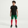 Nike Dri-FIT Park VIII Fußballtrikot