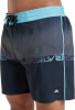 Quiksilver Everyday Jam Badeshorts