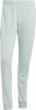 adidas Sportswear Basic 3-Streifen Tricot Trainingsanzug