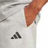 adidas Future Icons Small Logo Shorts