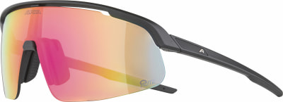 Alpina Turbo Pro S Q-Lite Sportsonnenbrille