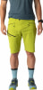 Dynafit Transalper Dynastretch Wandershorts