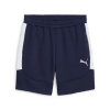 Puma teamEVOSTRIPE Short 77%BW 23%PES, dryCELL