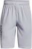 Under Armour Prototype 2.0 Wordmark Shorts