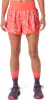 Asics ROAD AOP 2in1 Laufshorts