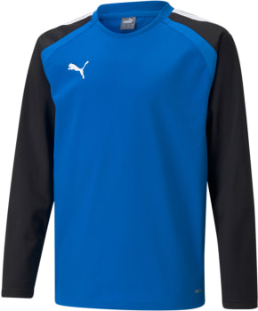 Puma teamLIGA Training Pullover