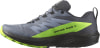 Salomon Sense Ride 5 GTX Traillaufschuhe