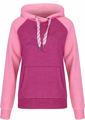 Southcoast Sonic Hoodie