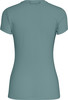 Salewa Solidlogo Dri-Release T-Shirt
