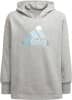 adidas G M Hoodie lány kapucnis felső