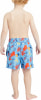 Firefly Tommy Badeshorts