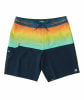 Billabong Fifty50 Pro Badeshorts