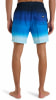 Billabong All Day Fade Badeshorts