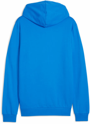 Puma teamGOAL Casuals Hoodie