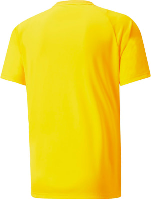 Puma teamVISION Trainingstrikot Puma teamVISION Trainingstrikot