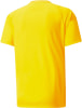 Puma teamVISION Trainingstrikot
