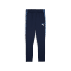 Puma teamLIGA26 Training Trainingshose 90%PES 10%EL, dryCELL