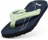 Puma Epic Flip V3 Flip Flops