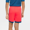 Nike Dri-FIT Academy gyerek rövidnadrág
