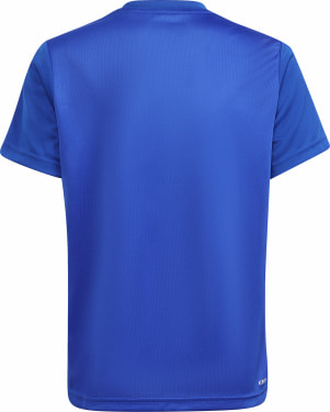 Designed 2 Move T-Shirt und Shorts Set