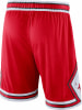 Nike NBA Chicago Bulls Icon Basketballshorts