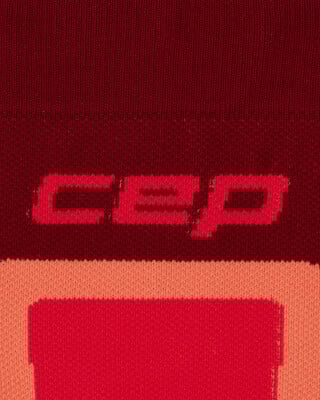 CEP Ski Thermo Tall4 Skistutzen