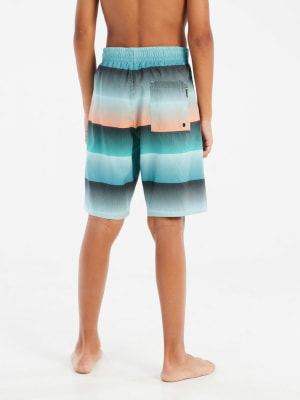Protest Prtray Beachshort