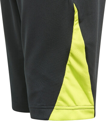 adidas Predator Shorts