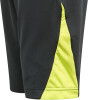 adidas Predator Shorts