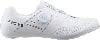 Shimano RC503 Rennradschuhe