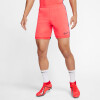 Nike Dri-FIT Academy férfi rövidnadrág