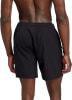 Firefly Makario Badeshorts