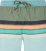 Protest Prtavik Badeshorts