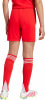 adidas FC Bayern München 25/26 Shorts