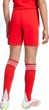 FC Bayern München 25/26 Shorts