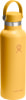 Hydro Flask 21 oz Standard Flex Cap Thermosflasche
