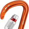 Petzl Rocha Karabiner