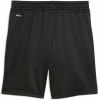 Puma Active Sports Poly Short