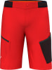 Rot