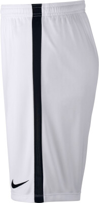 Nike Dry Short Acdmy