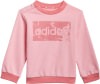 adidas Essentials Jogginganzug