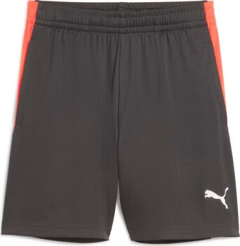 Puma IndividualFinal Fußballshorts